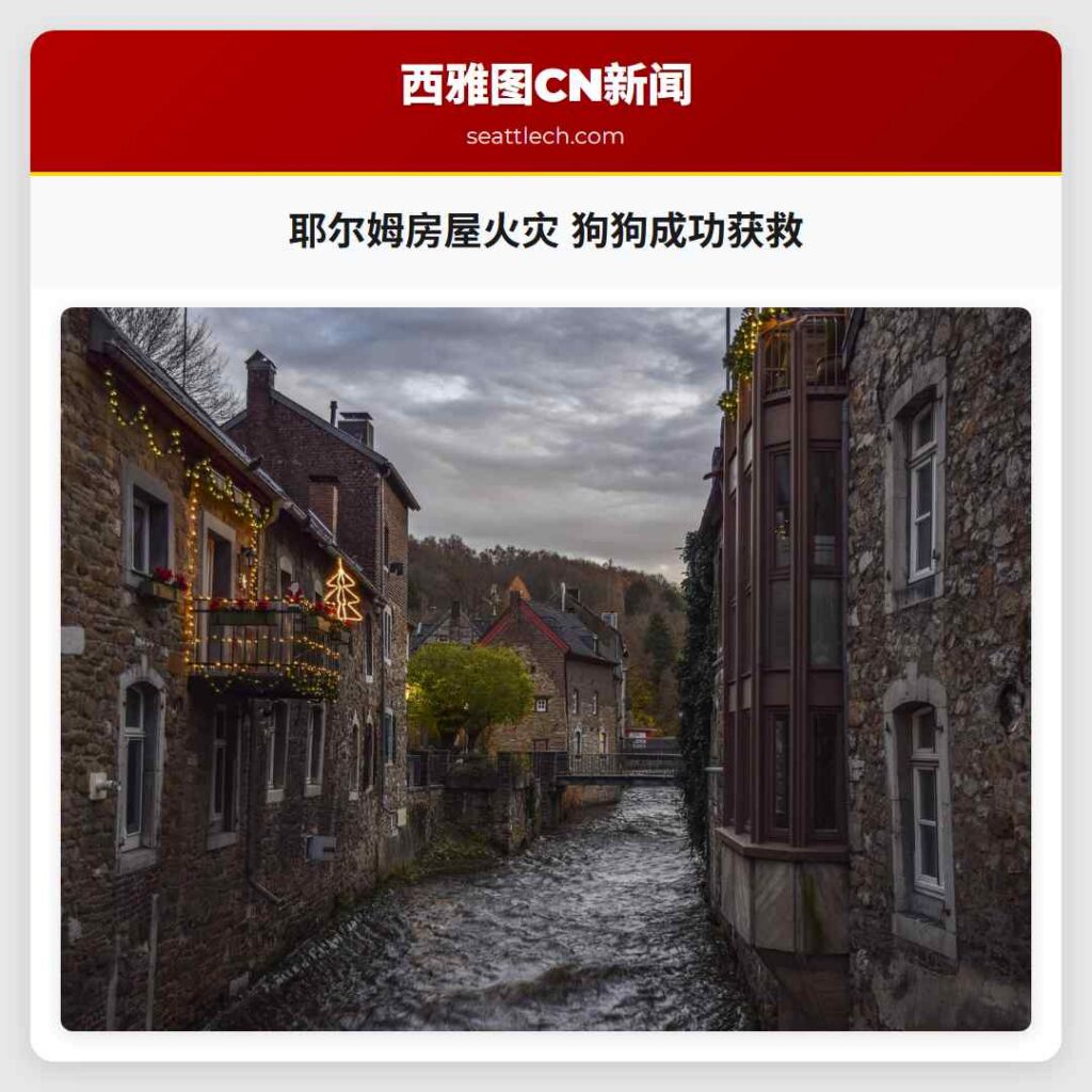耶尔姆房屋火灾 狗狗成功获救