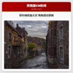 耶尔姆房屋火灾 狗狗成功获救