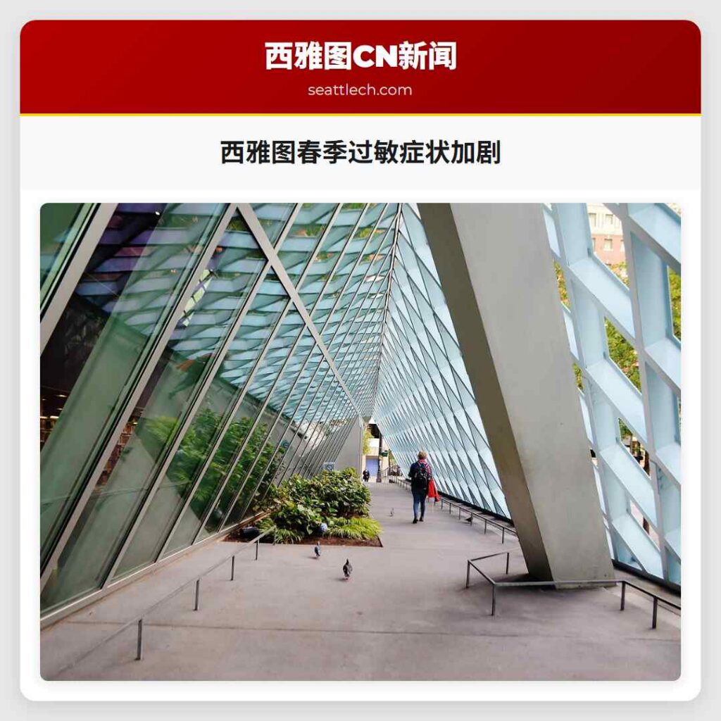 西雅图春季过敏症状加剧