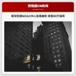 斯坦伍德NOAH中心急需援助 收容60只猫咪