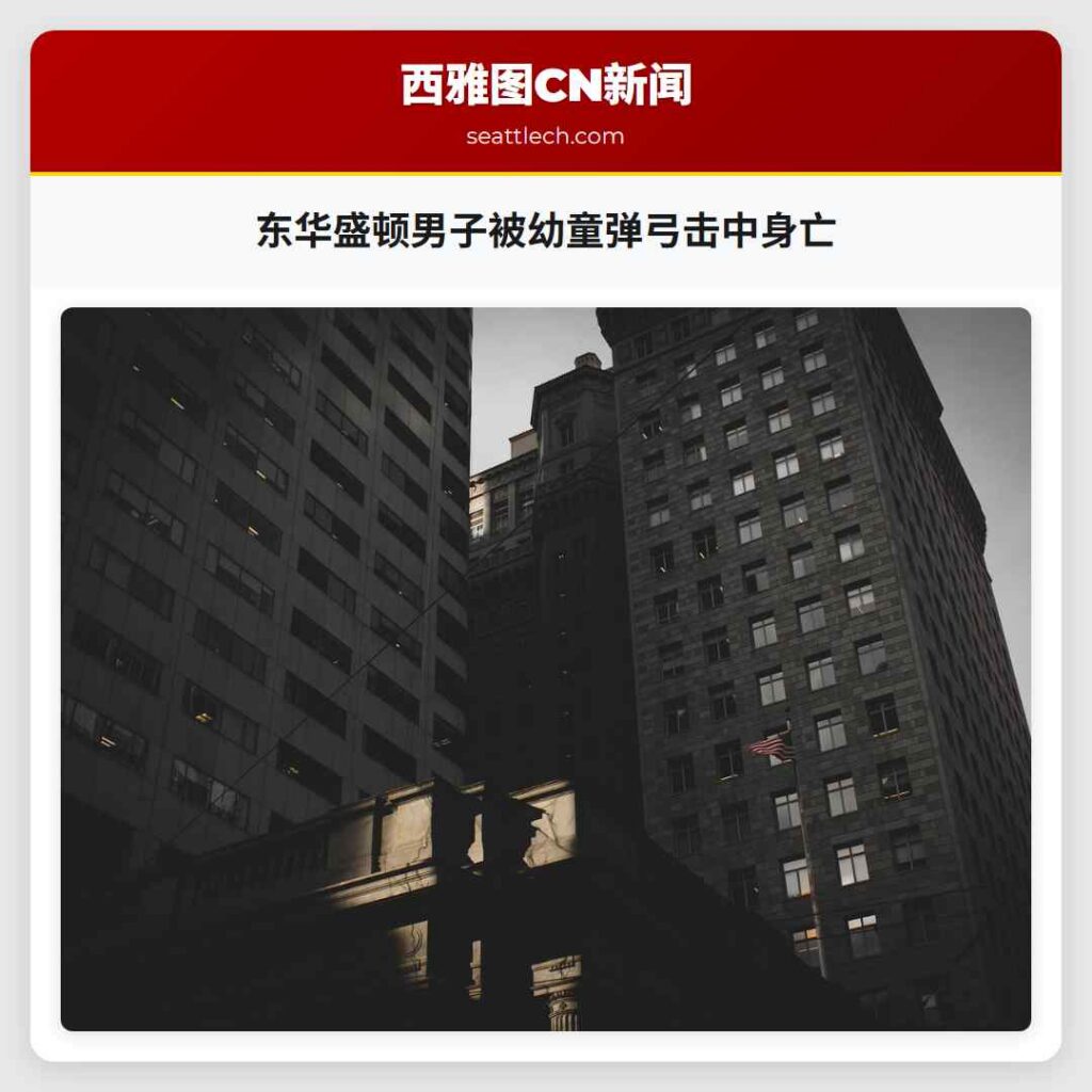 东华盛顿男子被幼童弹弓击中身亡