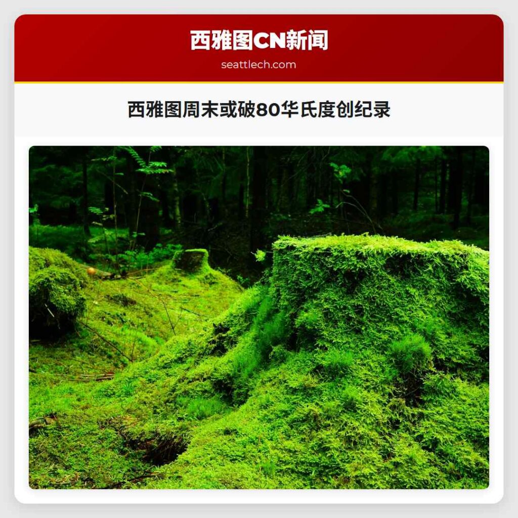 西雅图周末或破80华氏度创纪录