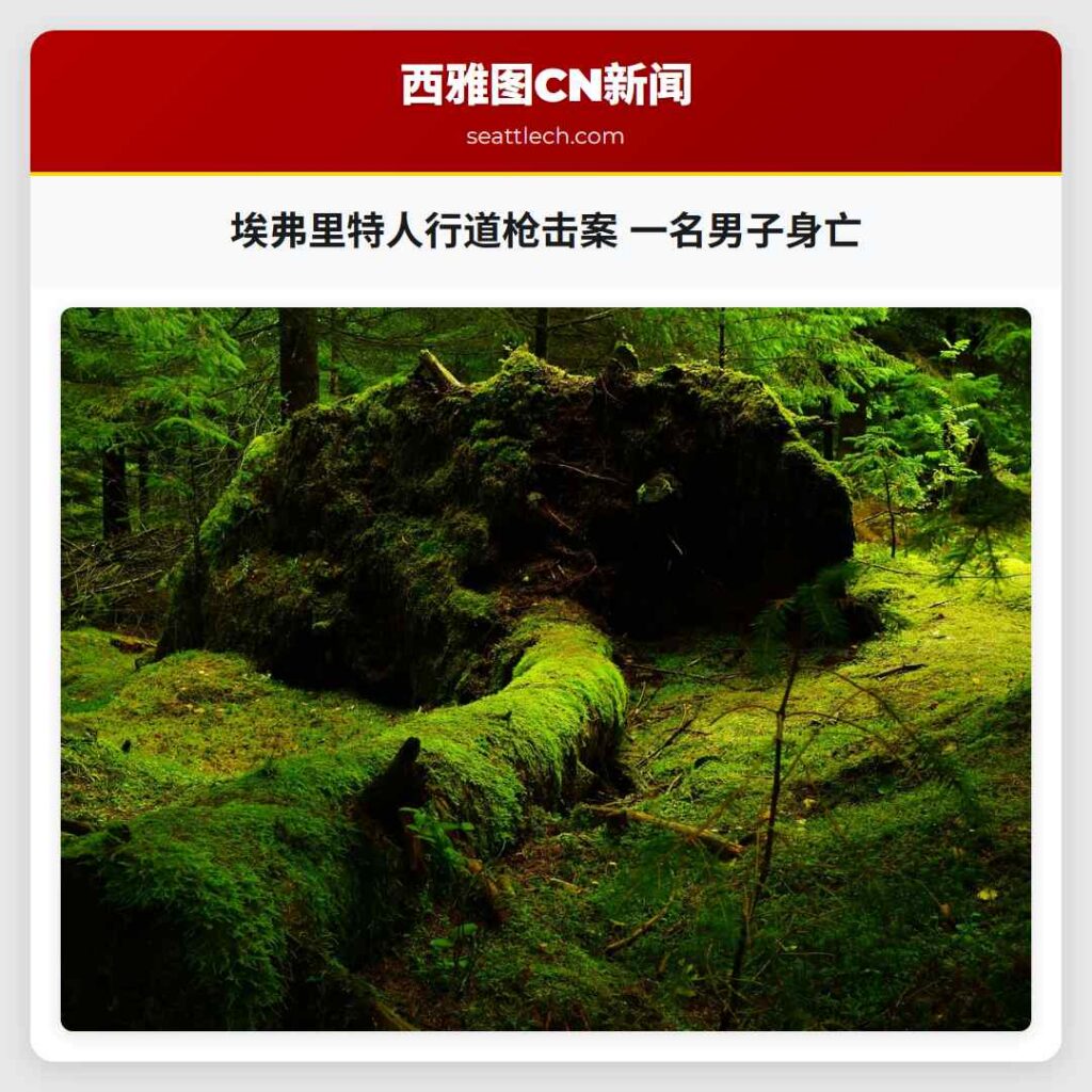 埃弗里特人行道枪击案 一名男子身亡