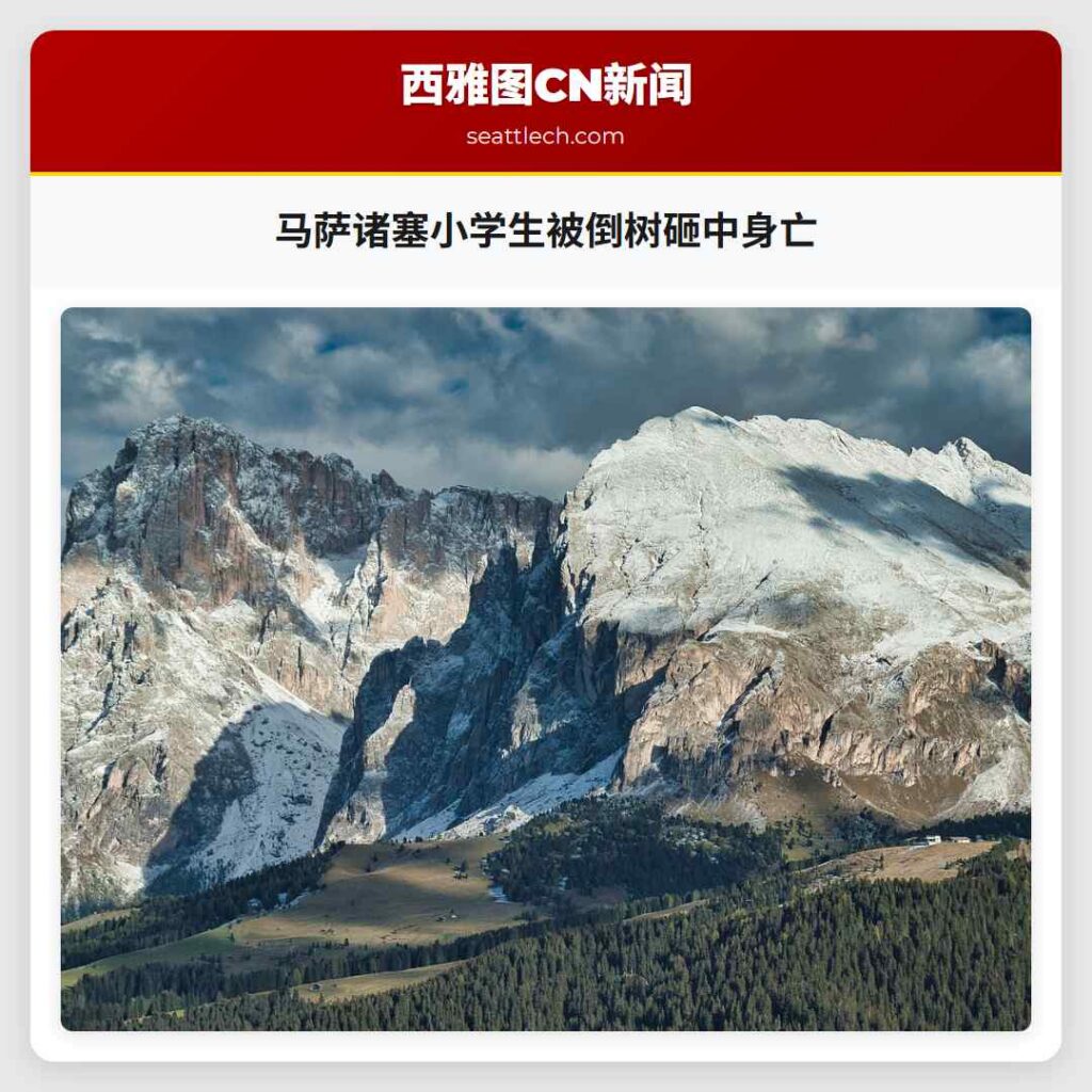 马萨诸塞小学生被倒树砸中身亡