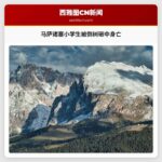马萨诸塞小学生被倒树砸中身亡