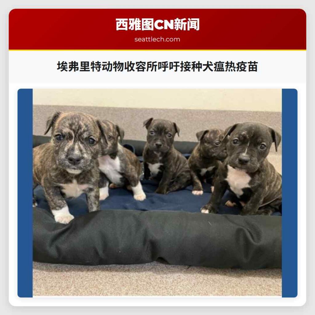 埃弗里特动物收容所呼吁接种犬瘟热疫苗