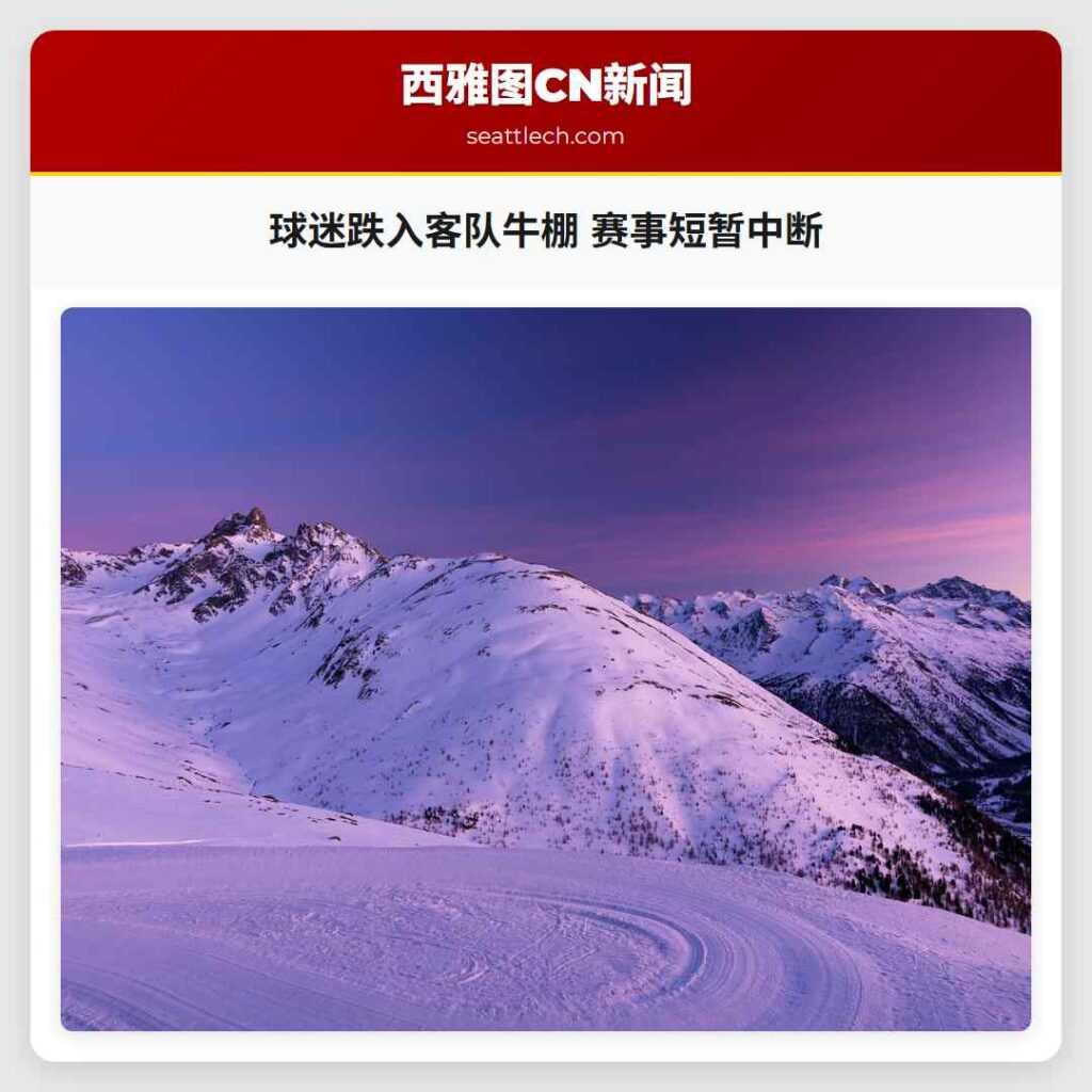 球迷跌入客队牛棚 赛事短暂中断