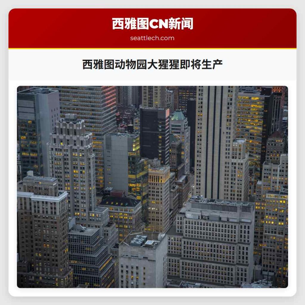 西雅图动物园大猩猩即将生产
