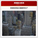 西雅图动物园大猩猩即将生产