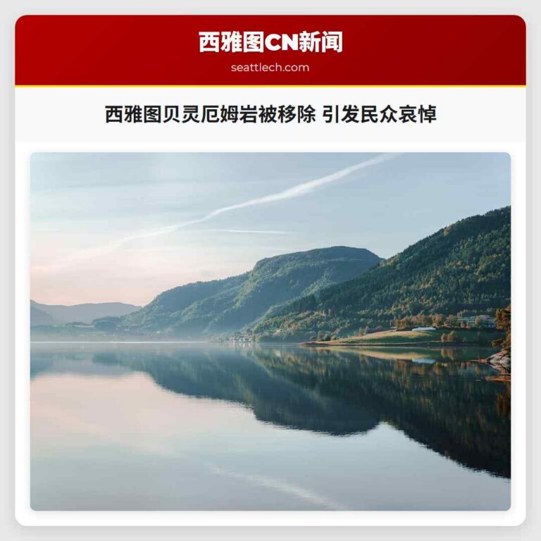 西雅图贝灵厄姆岩被移除 引发民众哀悼