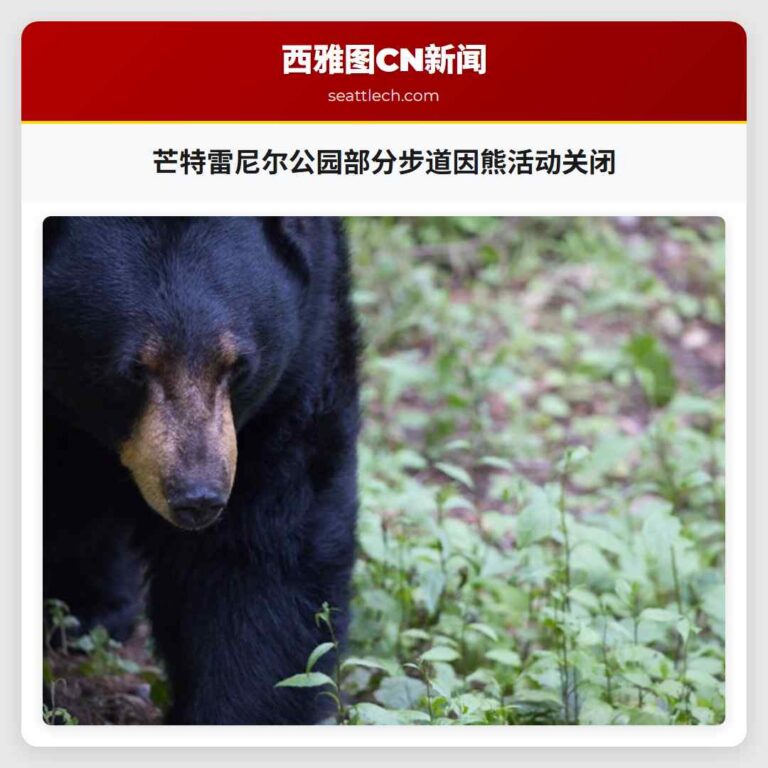 芒特雷尼尔公园部分步道因熊活动关闭