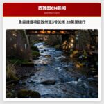 鱼类通道项目致州道3号关闭 28英里绕行