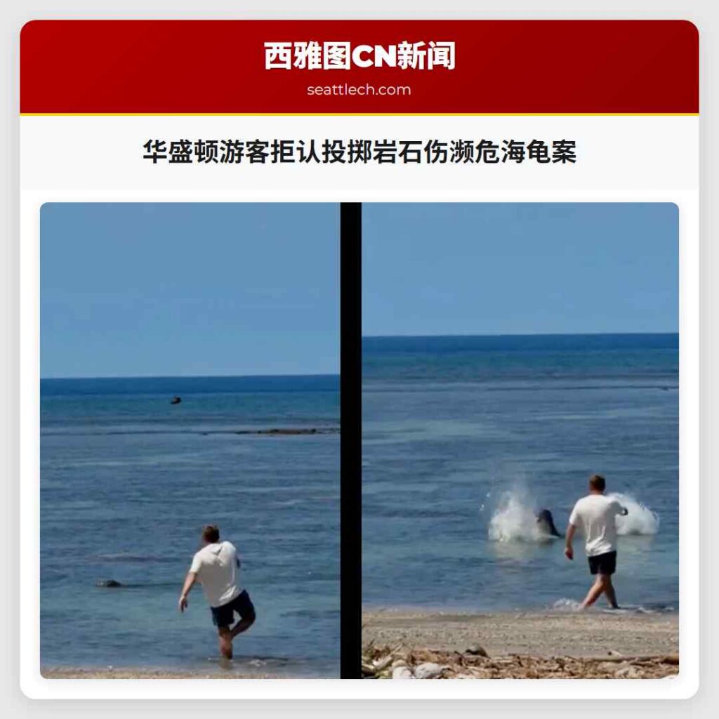 华盛顿游客拒认投掷岩石伤濒危海龟案