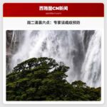 周二清晨六点：专家谈癌症预防