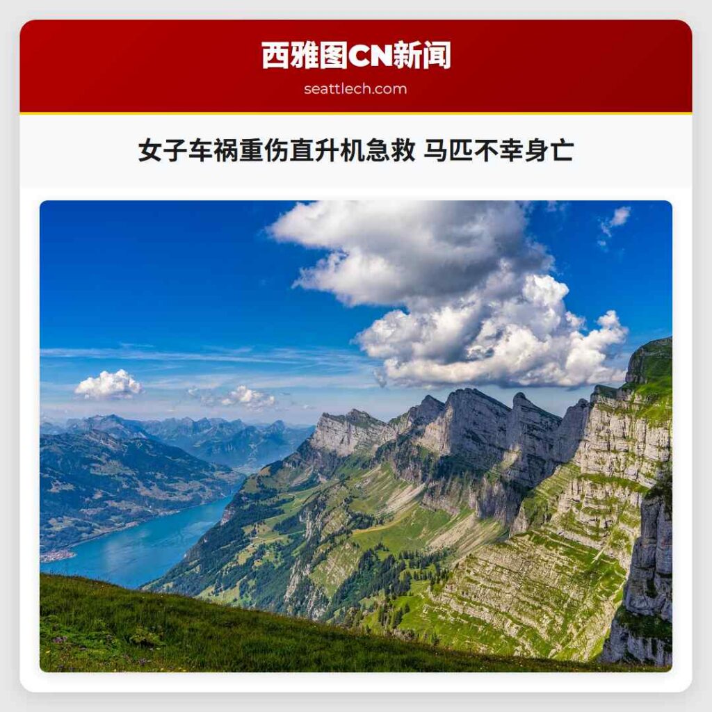 女子车祸重伤直升机急救 马匹不幸身亡
