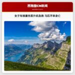 女子车祸重伤直升机急救 马匹不幸身亡