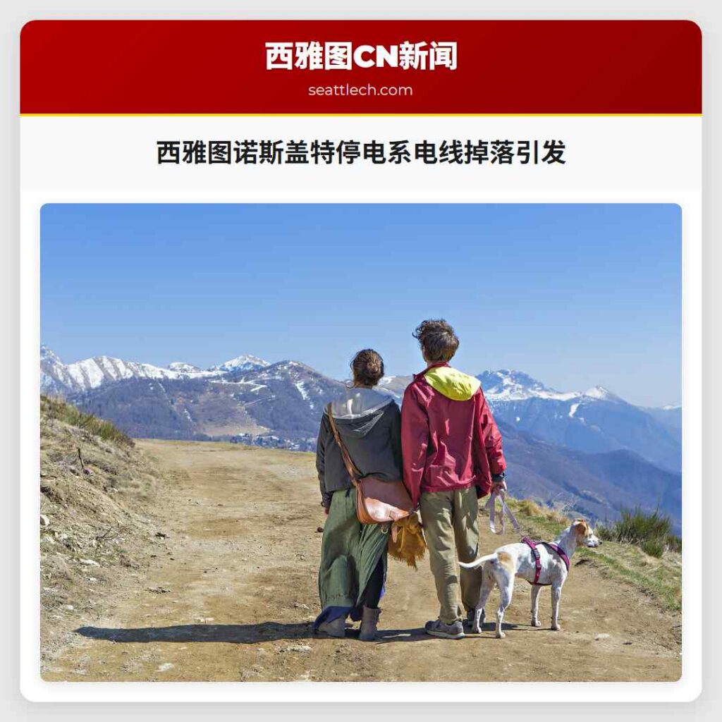 西雅图诺斯盖特停电系电线掉落引发