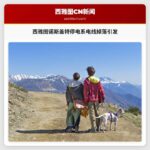 西雅图诺斯盖特停电系电线掉落引发