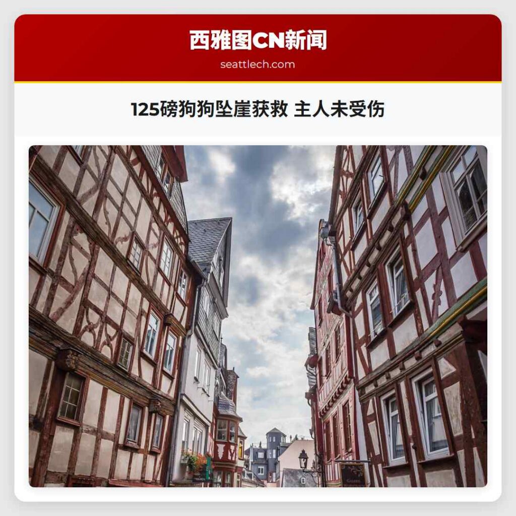 125磅狗狗坠崖获救 主人未受伤