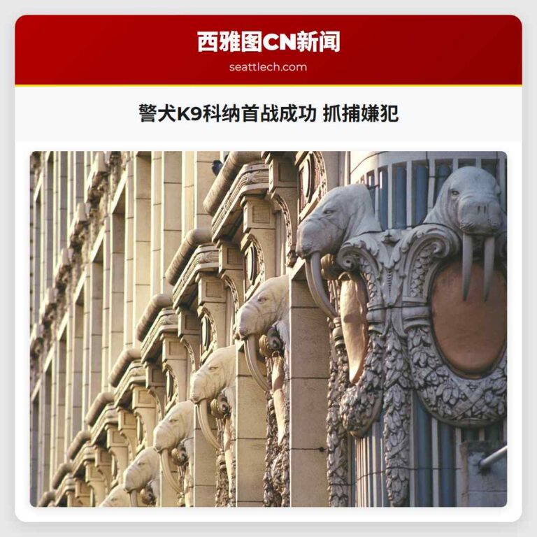 警犬K9科纳首战成功 抓捕嫌犯