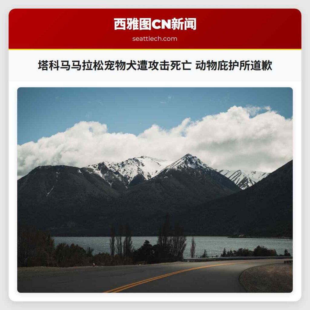 塔科马马拉松宠物犬遭攻击死亡 动物庇护所道歉