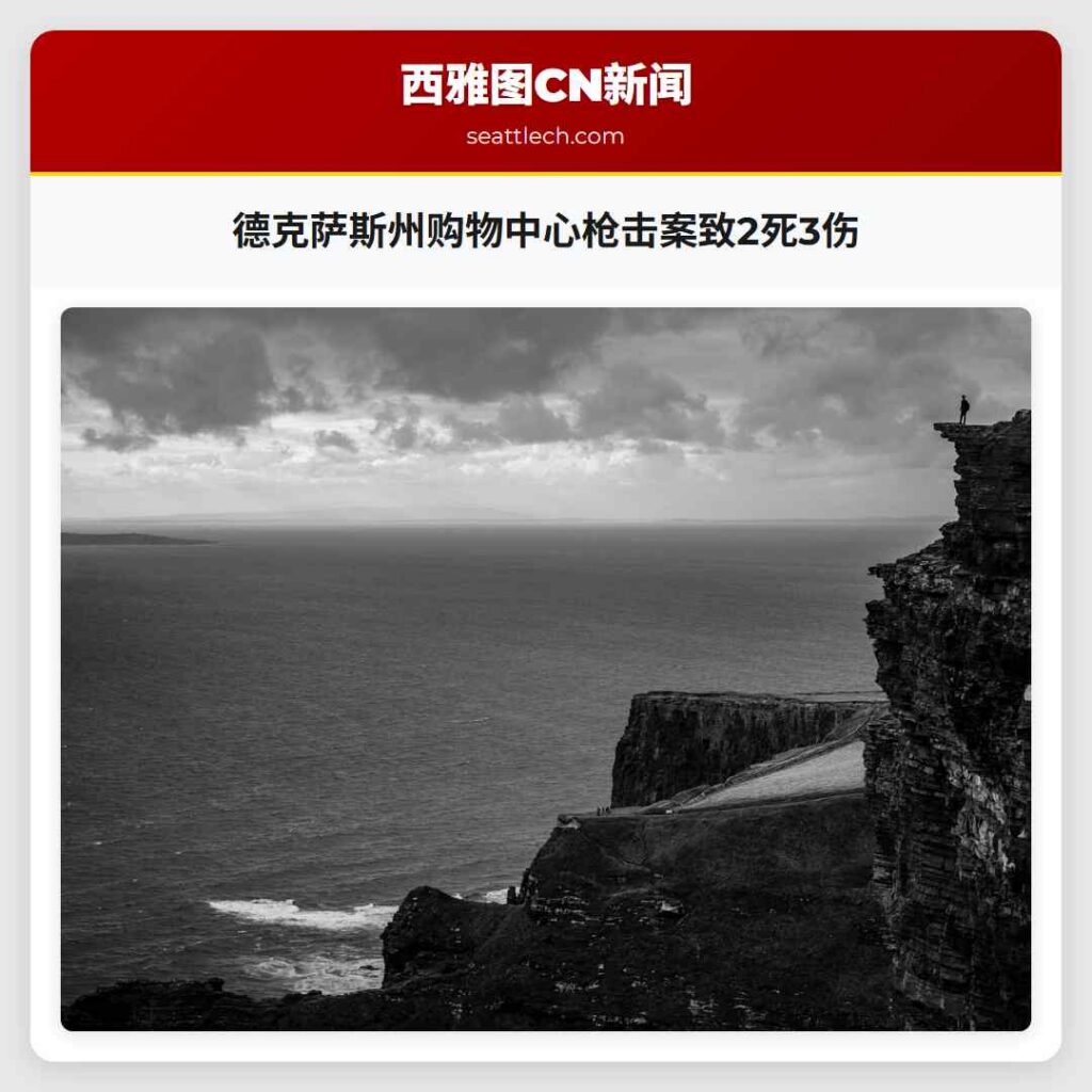 德克萨斯州购物中心枪击案致2死3伤