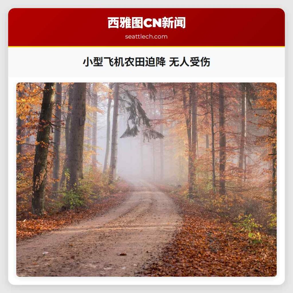 小型飞机农田迫降 无人受伤