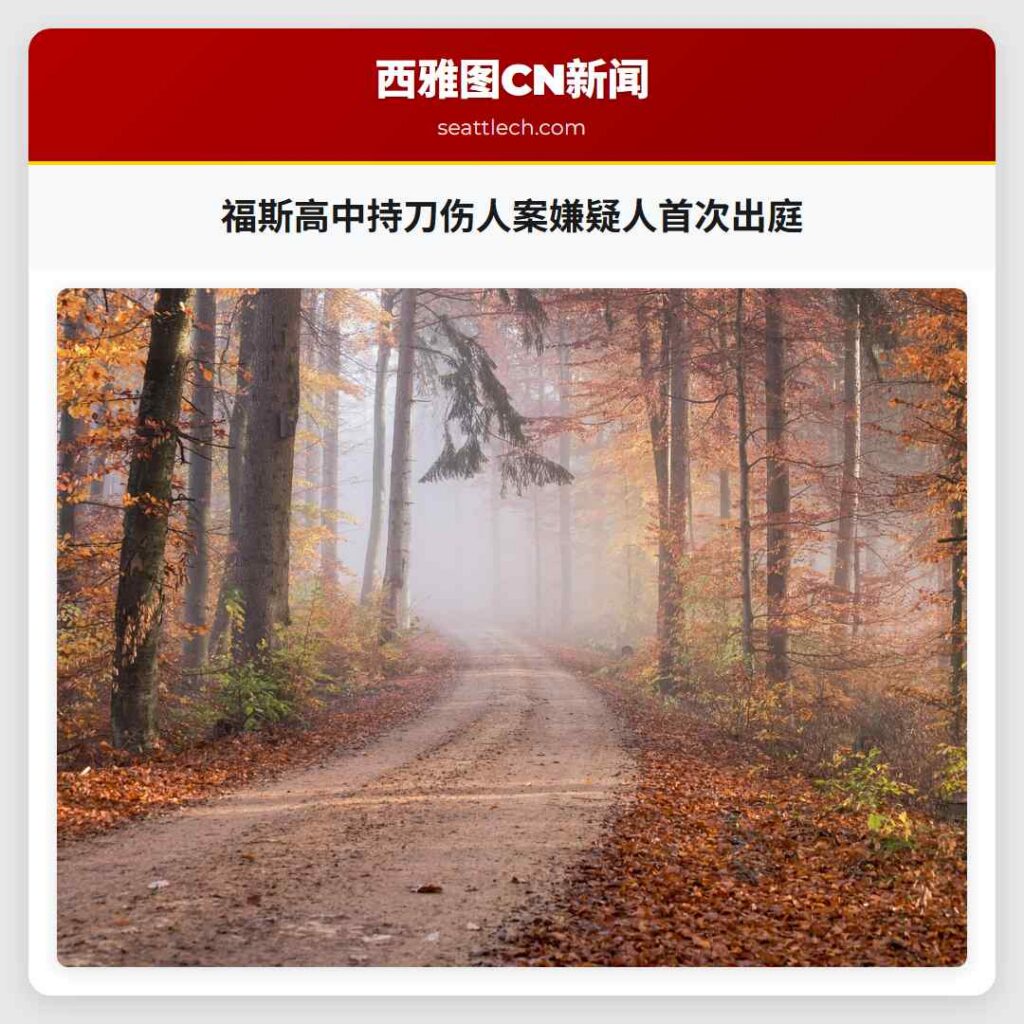 福斯高中持刀伤人案嫌疑人首次出庭