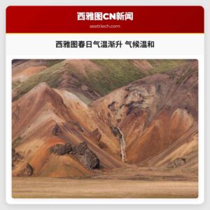 西雅图春日气温渐升 气候温和