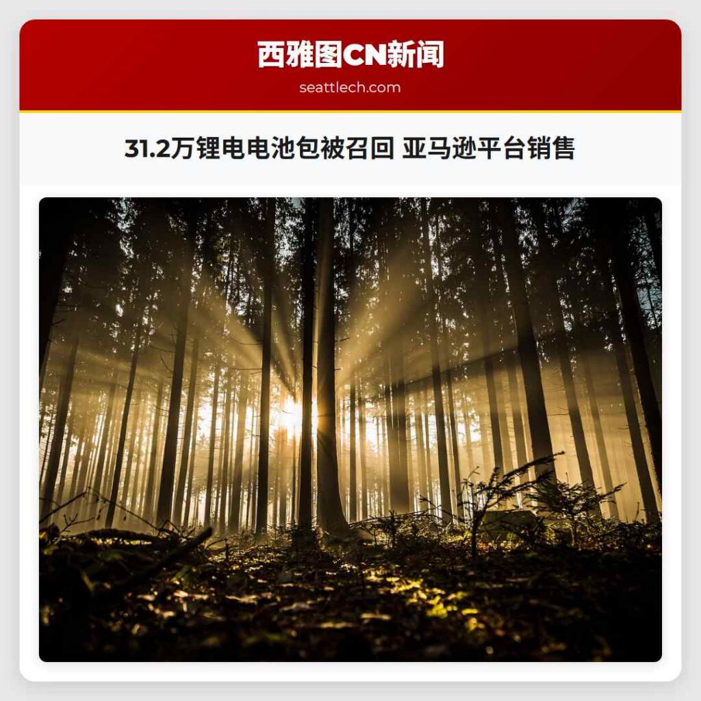 31.2万锂电电池包被召回 亚马逊平台销售