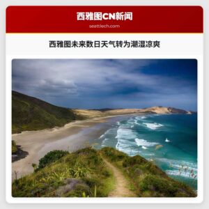 西雅图未来数日天气转为潮湿凉爽
