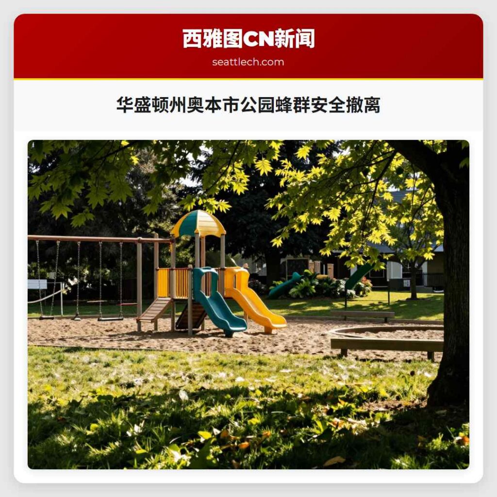 华盛顿州奥本市公园蜂群安全撤离