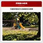 华盛顿州奥本市公园蜂群安全撤离