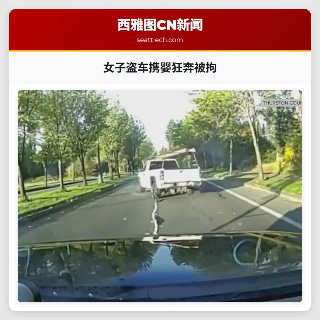 女子盗车携婴狂奔被拘