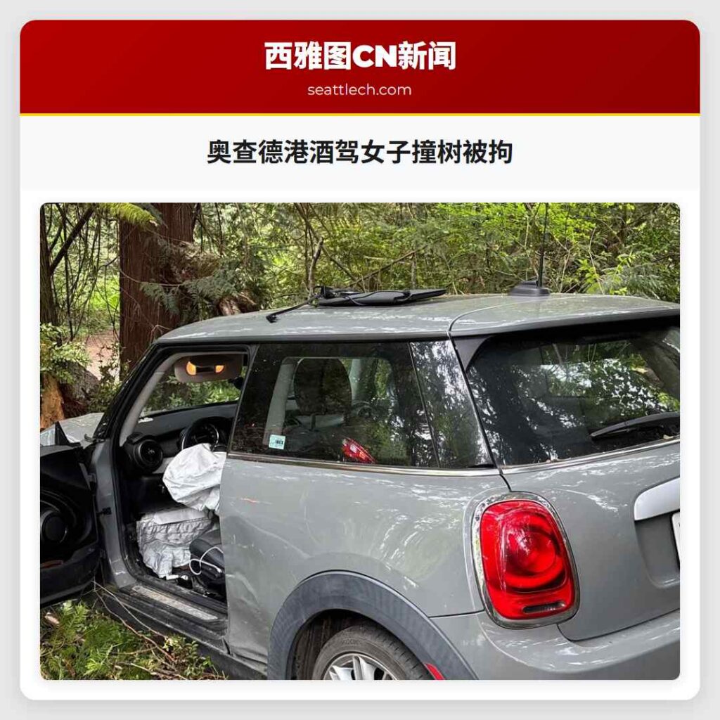 奥查德港酒驾女子撞树被拘