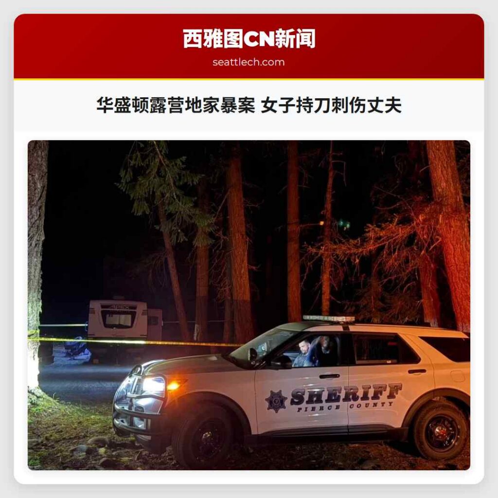 华盛顿露营地家暴案 女子持刀刺伤丈夫