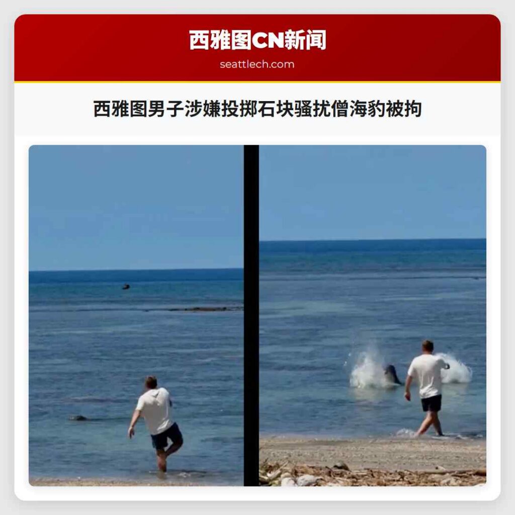 西雅图男子涉嫌投掷石块骚扰僧海豹被拘