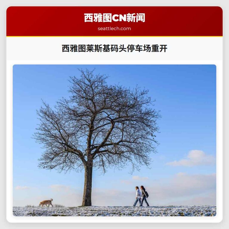 西雅图莱斯基码头停车场重开