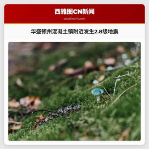 华盛顿州混凝土镇附近发生2.8级地震