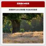 西雅图市长办公室调整 市议会关系趋紧