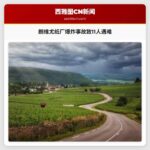 朗维尤纸厂爆炸事故致11人遇难