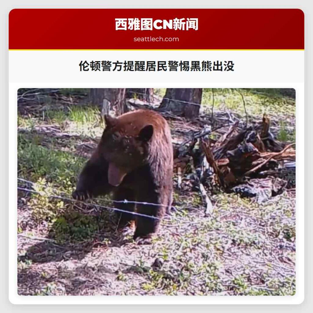 伦顿警方提醒居民警惕黑熊出没