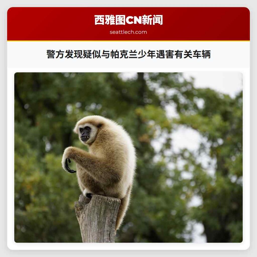 警方发现疑似与帕克兰少年遇害有关车辆