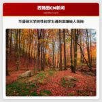 华盛顿大学跨性别学生遇刺案嫌疑人落网