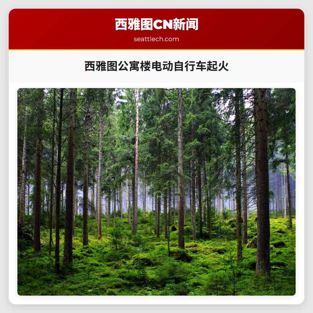 西雅图公寓楼电动自行车起火
