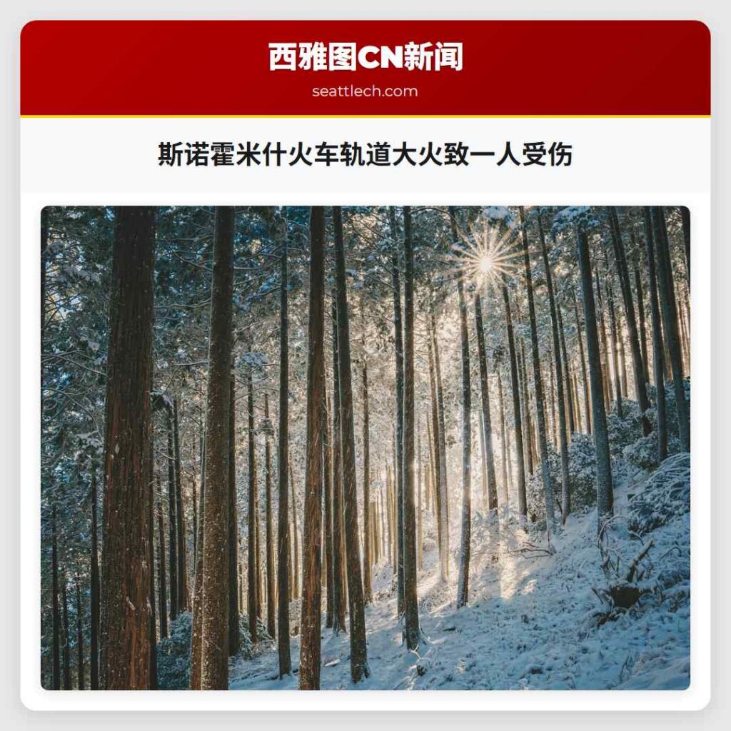 斯诺霍米什火车轨道大火致一人受伤