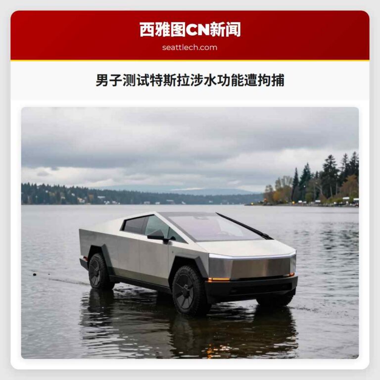 男子测试特斯拉涉水功能遭拘捕