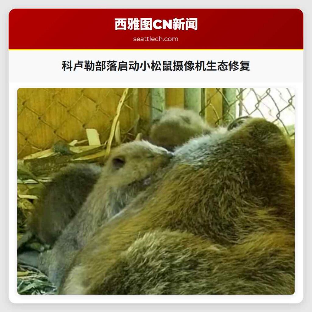 科卢勒部落启动小松鼠摄像机生态修复