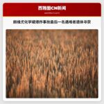 朗维尤化学罐爆炸事故最后一名遇难者遗体寻获