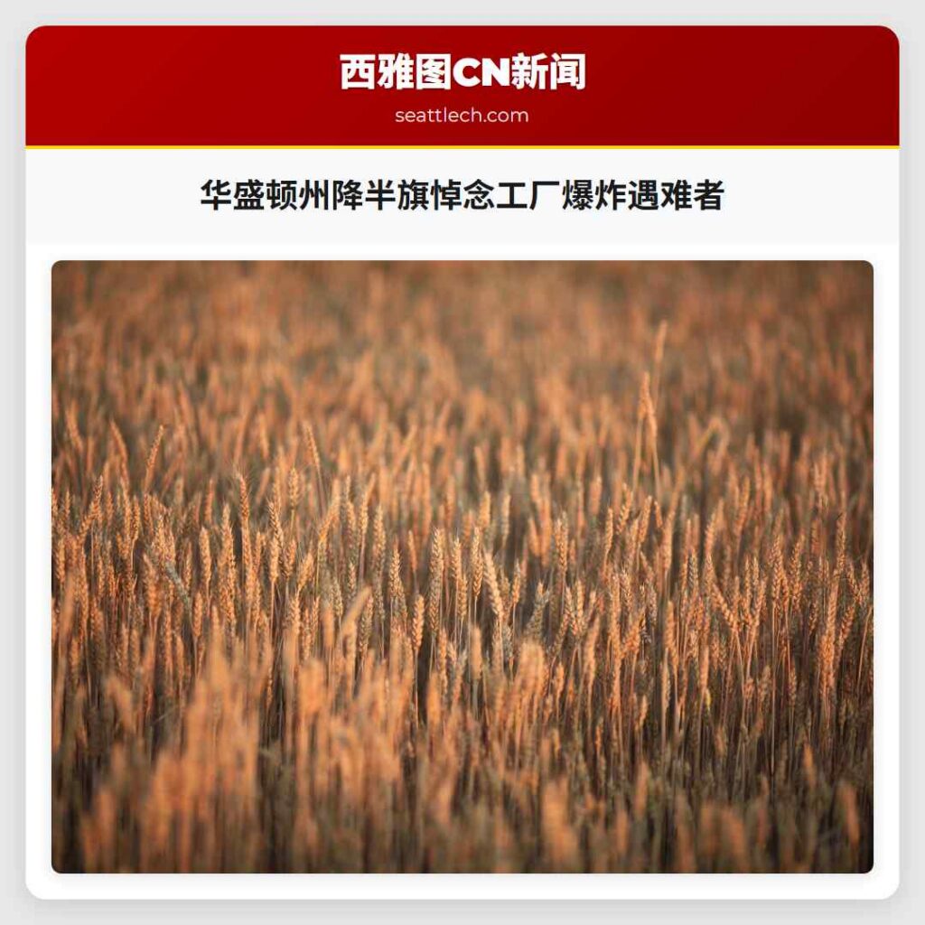 华盛顿州降半旗悼念工厂爆炸遇难者